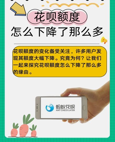 套花呗是怎么收费的