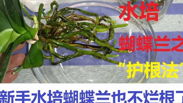 花呗异常排查全指南