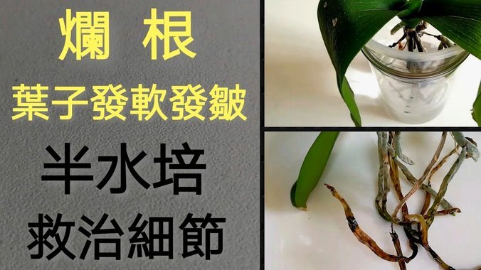 花呗怎么排除异常