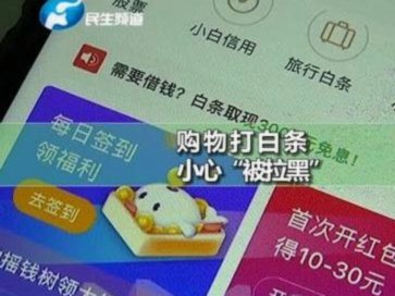 白条借20000还40000