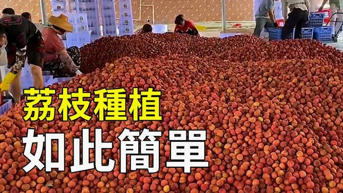 便荔卡冻结了
