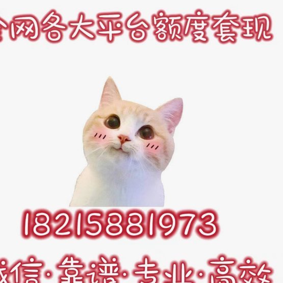 拿去花 取现