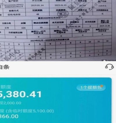白条可取现额度