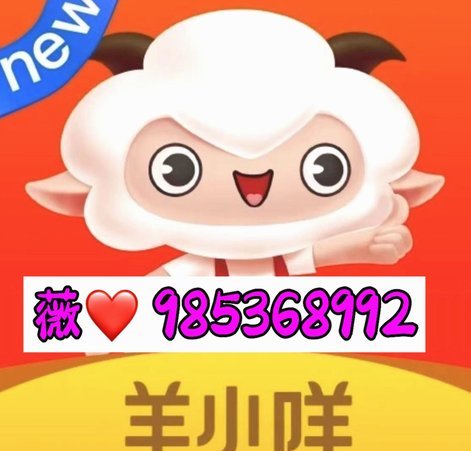羊小咩平台：价值捕获的智慧生态
