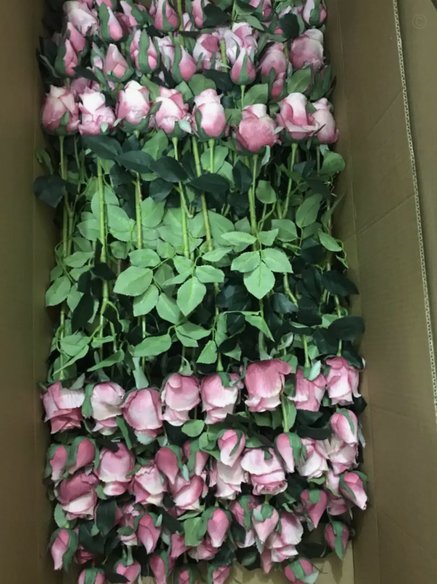 花呗给他人套现，真的会影响我的信用吗？