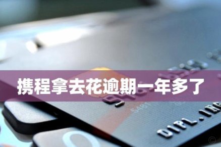携程“拿去花”难以取消，服务规则不透明引发争议