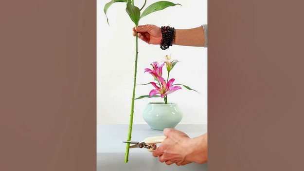 花呗里的钱怎么提？这几招要注意！