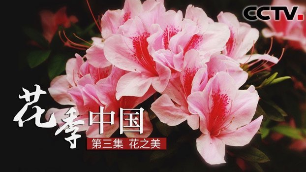 拿去花：便捷背后的消费陷阱