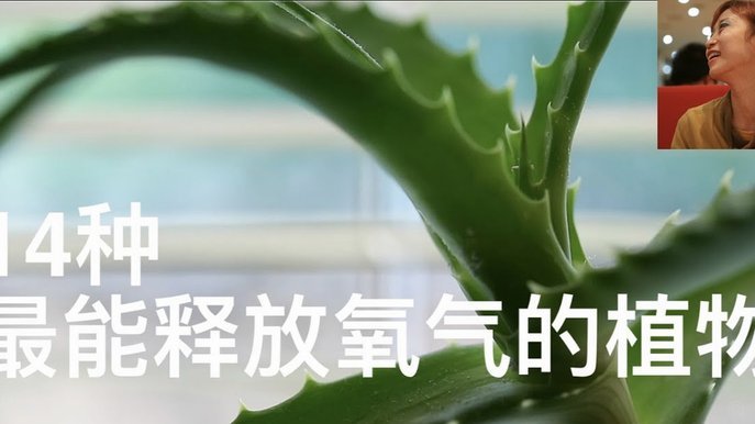 携程拿去花用不了？用户困惑待解