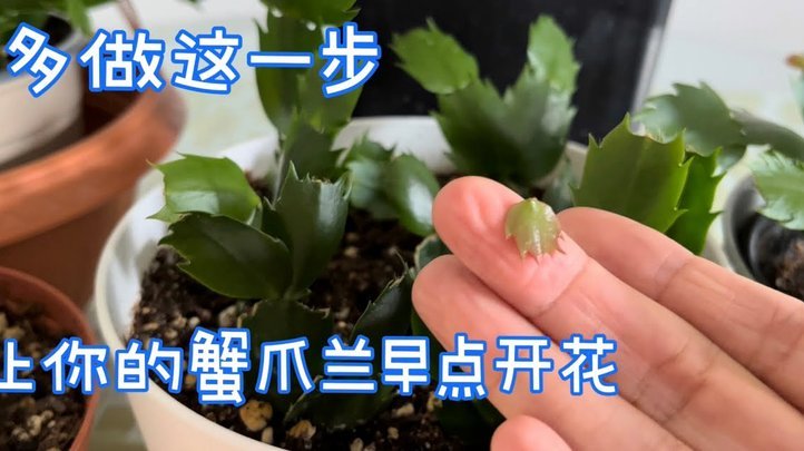 携程拿去花怎么提现