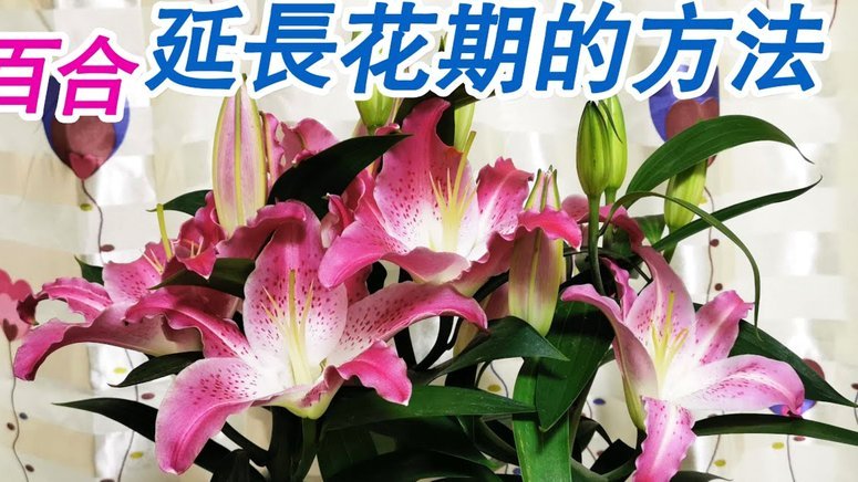 花呗套现：手续费揭秘