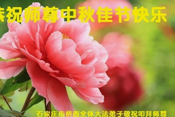 花呗资金周转技巧：如何灵活运用额度