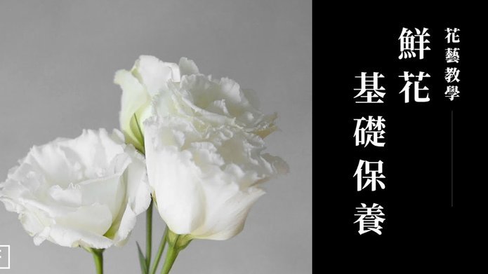 花呗合理使用指南：优化信用提升体验