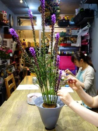 花呗秒提额的办法