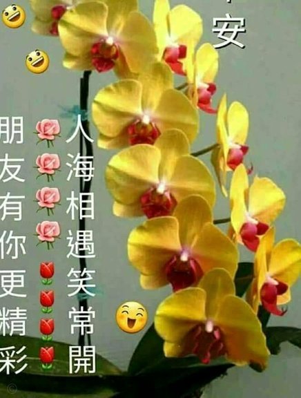 花呗怎么借款有利息吗安全吗