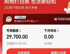 白条付费额度是白条吗