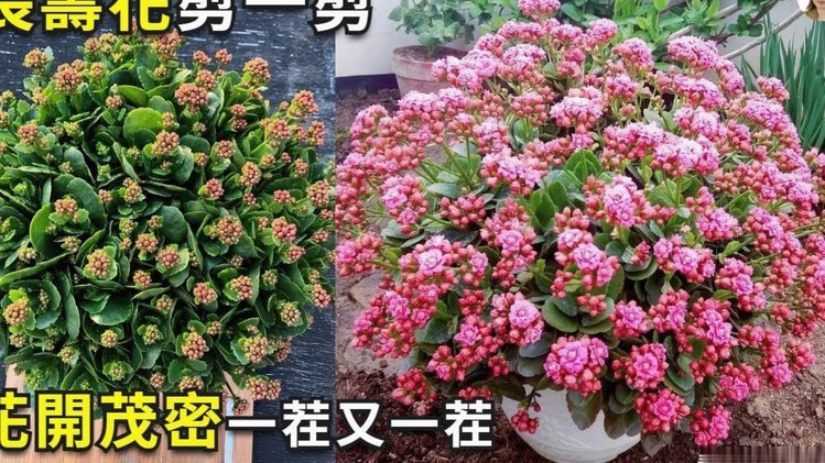 消费信贷套现点数如何计算？一篇深度解析与影响因素