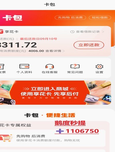 盘点羊小咩怎么套出来购物额度的五个小妙招