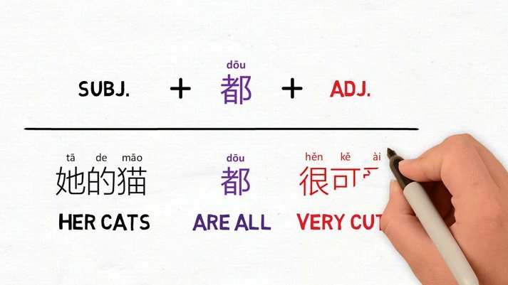 白条取现到账时间多久？影响因素全解析