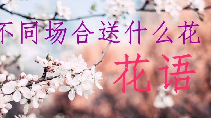 携程信用花怎么用才划算？教你通过提升信用值获取优惠