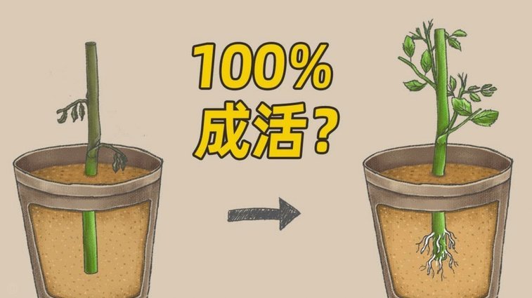 现金取现方法全攻略