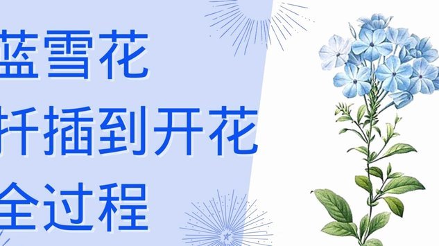 资源高效转化：从获取到应用的策略解析