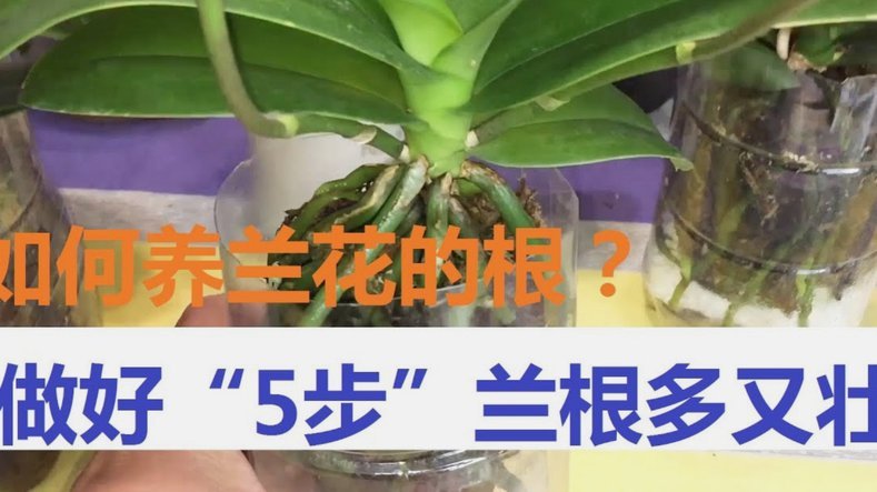 去哪拿去花怎么用