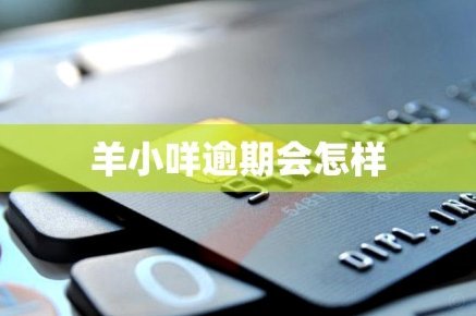 羊小咩怎么贷款的
