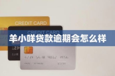 羊小咩怎么贷款的