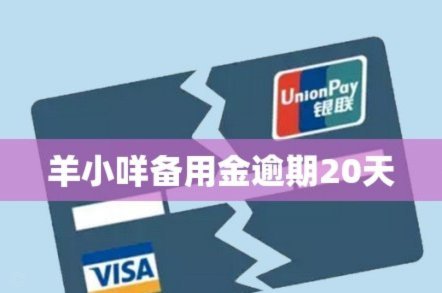 羊小咩怎么贷款的
