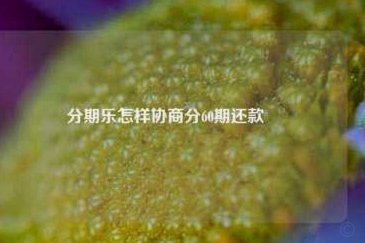 分期乐.六期改12期