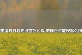 美团月付取现全攻略：积分如何变现到手？