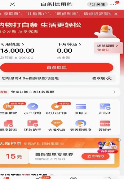 白条付费额度是白条吗安全吗