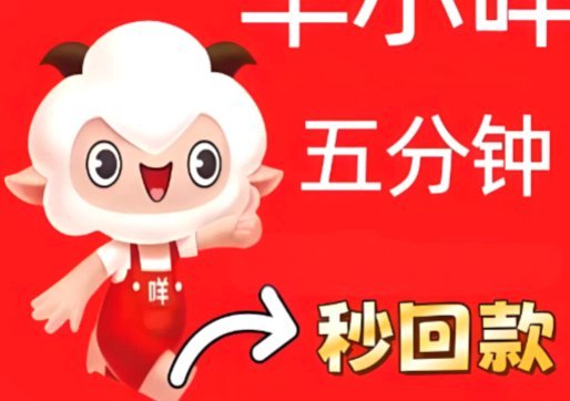 羊小咩贷款攻略：轻松搞定额度申请