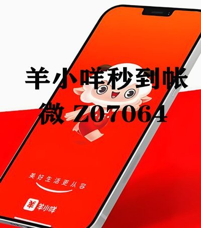 羊小咩购物额度在哪里查看